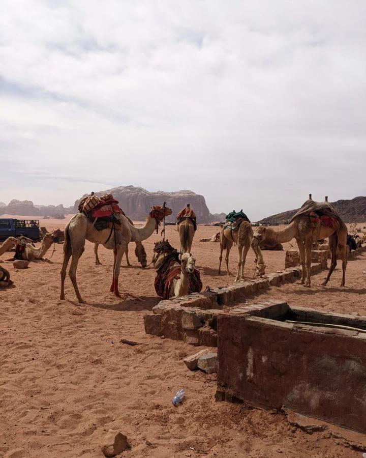 Wadi Rum Fun Time Tour'S ภายนอก รูปภาพ