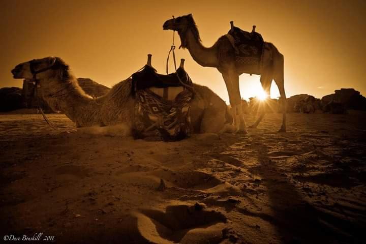 Wadi Rum Fun Time Tour'S ภายนอก รูปภาพ