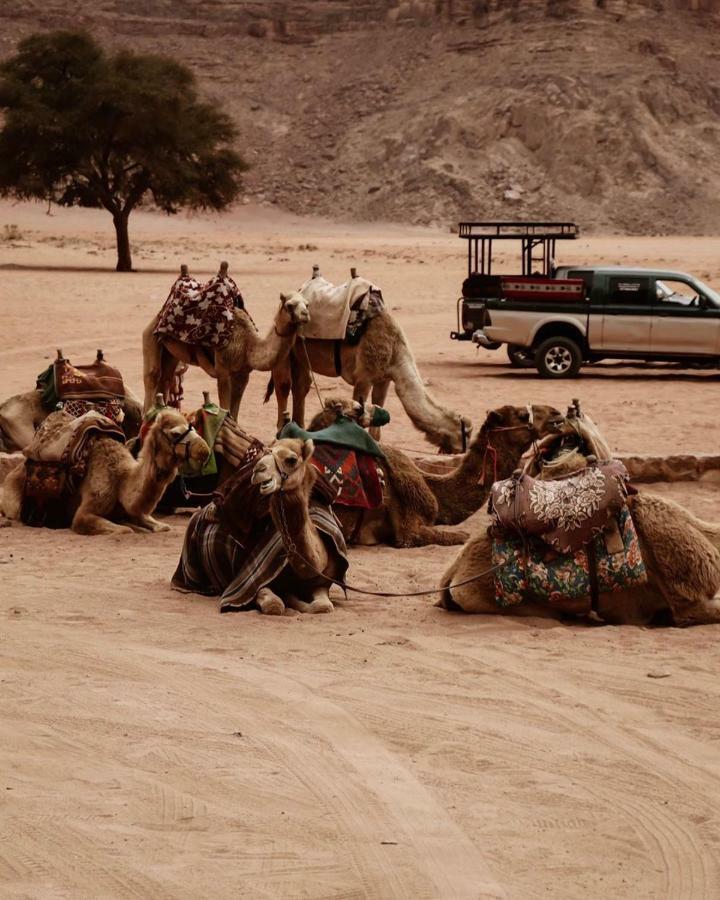 Wadi Rum Fun Time Tour'S ภายนอก รูปภาพ