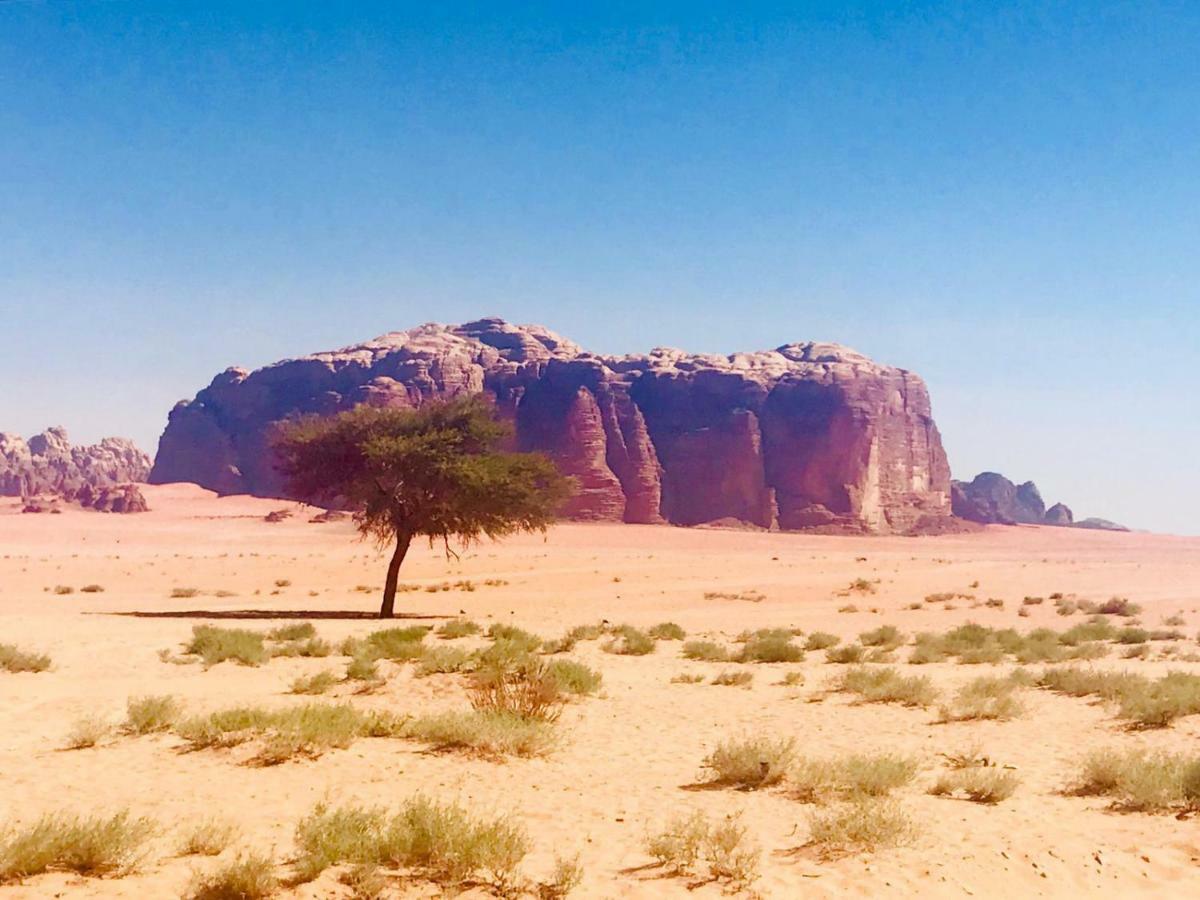 Wadi Rum Fun Time Tour'S ภายนอก รูปภาพ