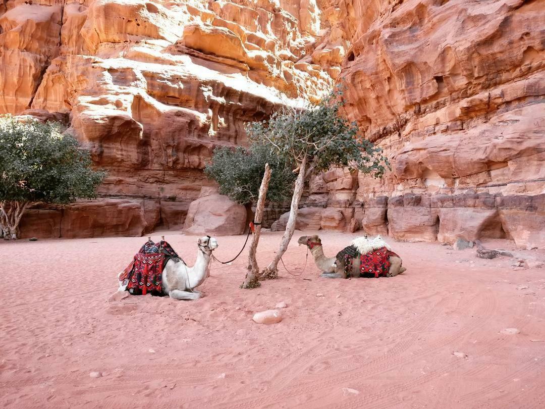 Wadi Rum Fun Time Tour'S ภายนอก รูปภาพ